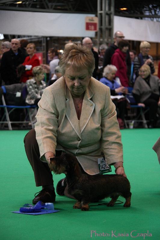 Crufts2011_2 1130.jpg